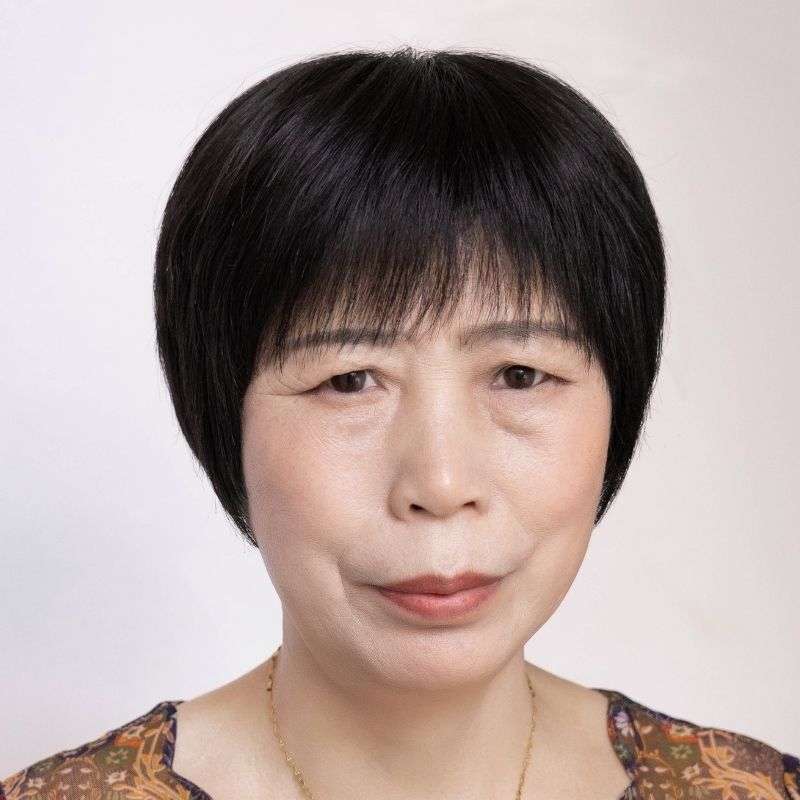 ウィッグ 上品な大人のショートカット