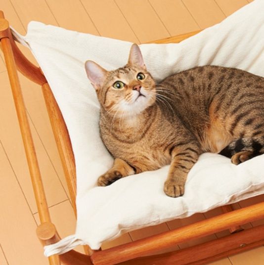 ハンモック 猫専用木製ゆりかご型ハンモック