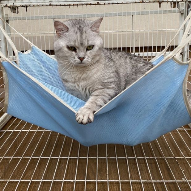 ハンモック 猫用ケージ取付型快適休憩ハンモック