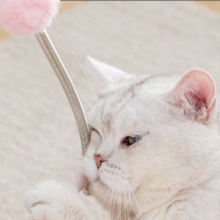 https://fulmo-img-server.com/hammock-lab/1756606471208_kdgnz61g_6mqjyt5k.jpeg