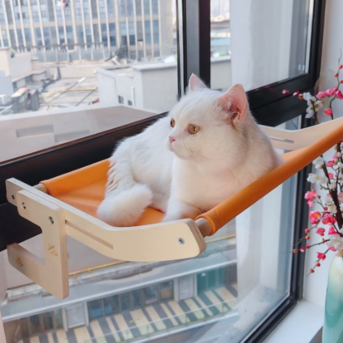 https://fulmo-img-server.com/hammock-lab/1757122681876_p0msi6oo_o1hnv3ff.jpeg