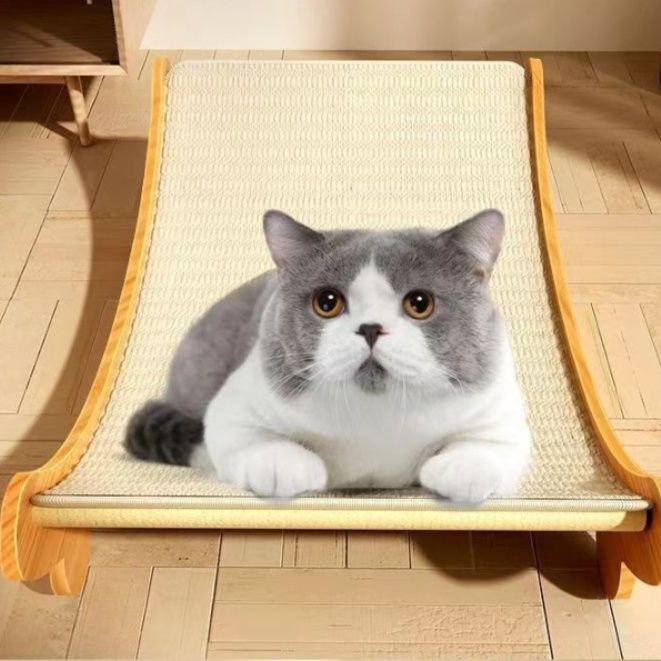 https://fulmo-img-server.com/hammock-lab/1757225182198_81slealj_tiqusuar.jpeg