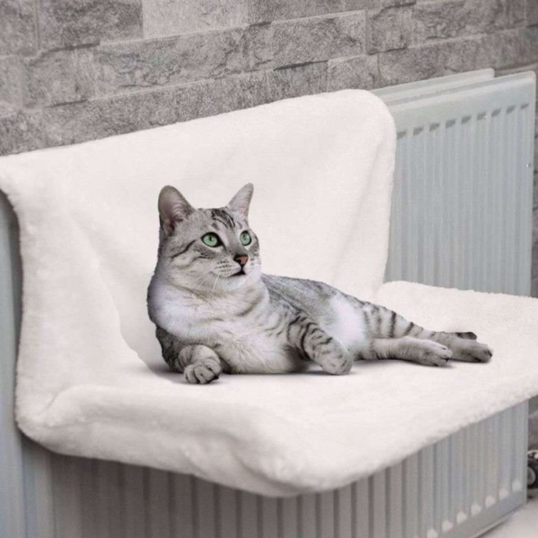 https://fulmo-img-server.com/hammock-lab/1780287576995_t6okvicb_anmlsv9m.jpeg