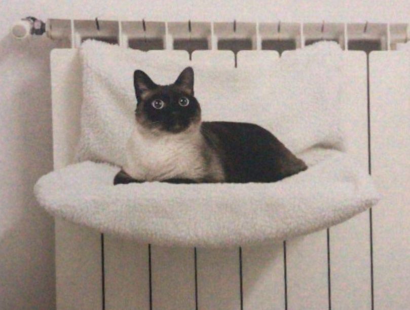 https://fulmo-img-server.com/hammock-lab/1780288002054_um9b89xz_49pi6gk1.jpeg