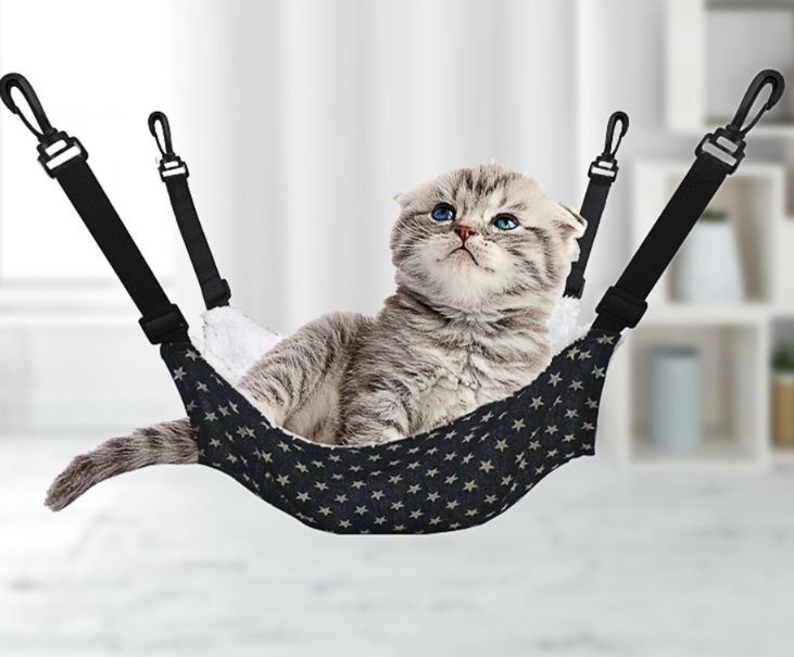 https://fulmo-img-server.com/hammock-lab/1780291192590_21wfv5of_anyip2pw.jpeg