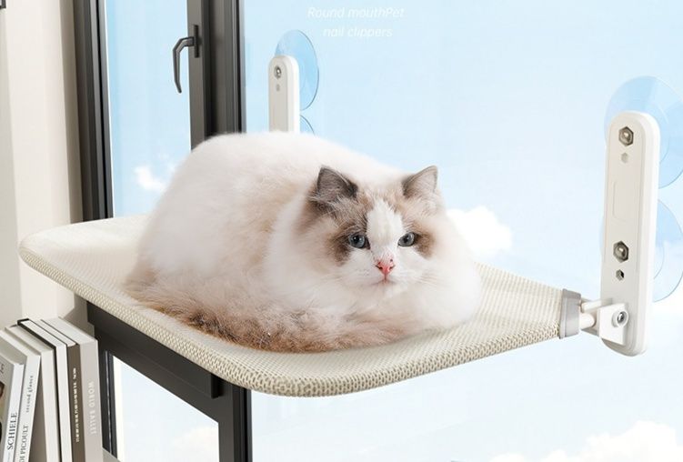 https://fulmo-img-server.com/hammock-lab/1788397716994_1x9ipgar_m2a2zfef.jpeg