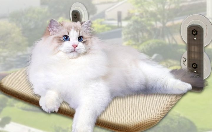 https://fulmo-img-server.com/hammock-lab/1788397744604_241oo6ef_pbbo3zpa.jpeg