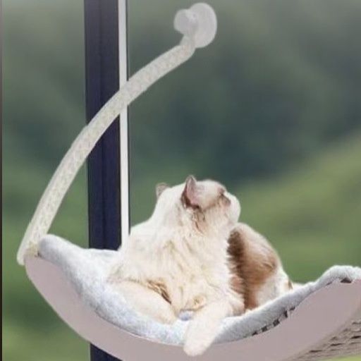 https://fulmo-img-server.com/hammock-lab/1788399234106_n0lqr64r_wbcfhgi2.jpeg