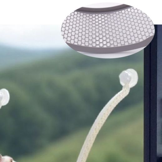 https://fulmo-img-server.com/hammock-lab/1788399262454_szakix8i_tvshk1cm.jpeg