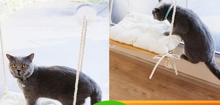 https://fulmo-img-server.com/hammock-lab/1788402668557_p189m6wt_nn4jxzv8.jpeg