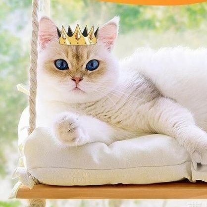 https://fulmo-img-server.com/hammock-lab/1788847181752_wk01gfdi_fb9oum8v.jpeg
