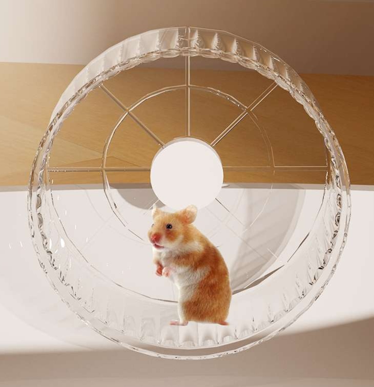 https://fulmo-img-server.com/hamster-cage-kingdom/1730988923628_10j873no_cropped.jpg
