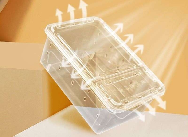 https://fulmo-img-server.com/hamster-cage-kingdom/1731204316818_m7s7klis_cropped.jpg