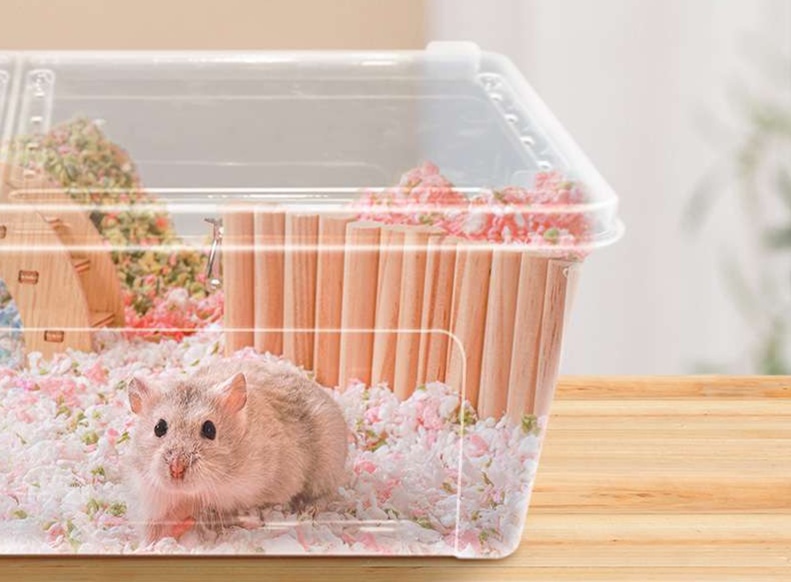 https://fulmo-img-server.com/hamster-cage-kingdom/1731204332720_w5w4x3ok_cropped.jpg