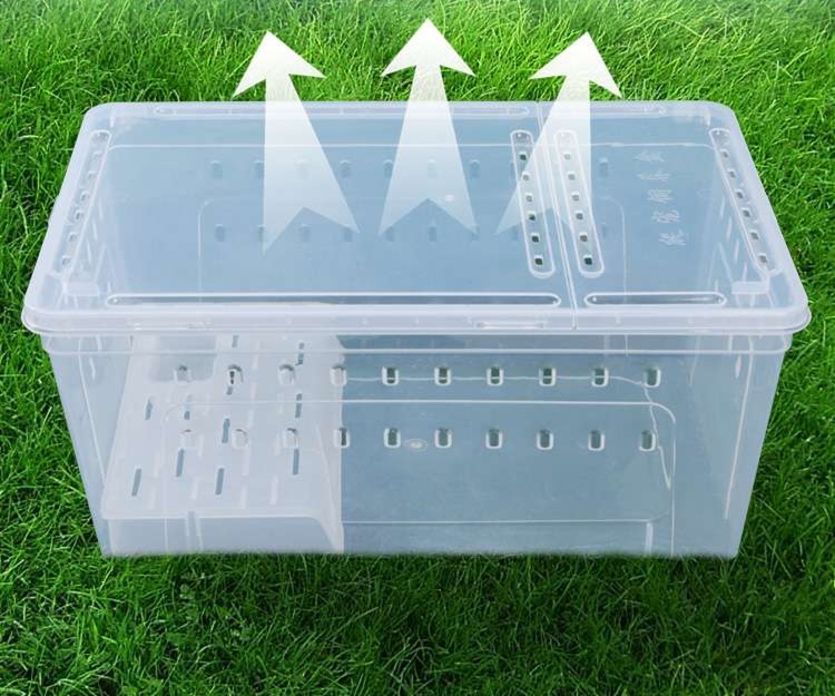 https://fulmo-img-server.com/hamster-cage-kingdom/1731204340479_mblvjc3u_cropped.jpg