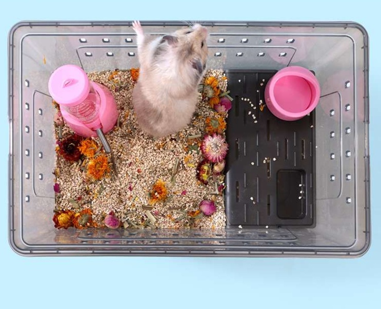 https://fulmo-img-server.com/hamster-cage-kingdom/1731204348542_se1ktybh_cropped.jpg