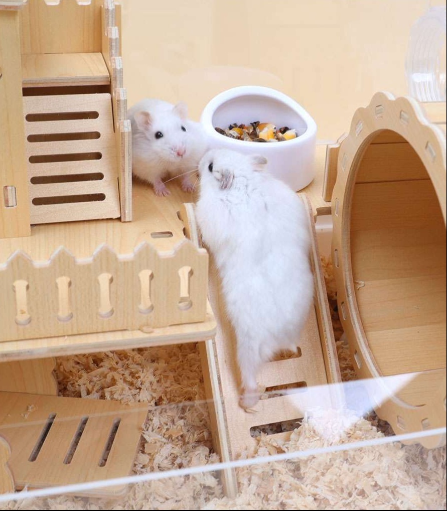 https://fulmo-img-server.com/hamster-cage-kingdom/1731221724722_1cs5oa0i_cropped.jpg