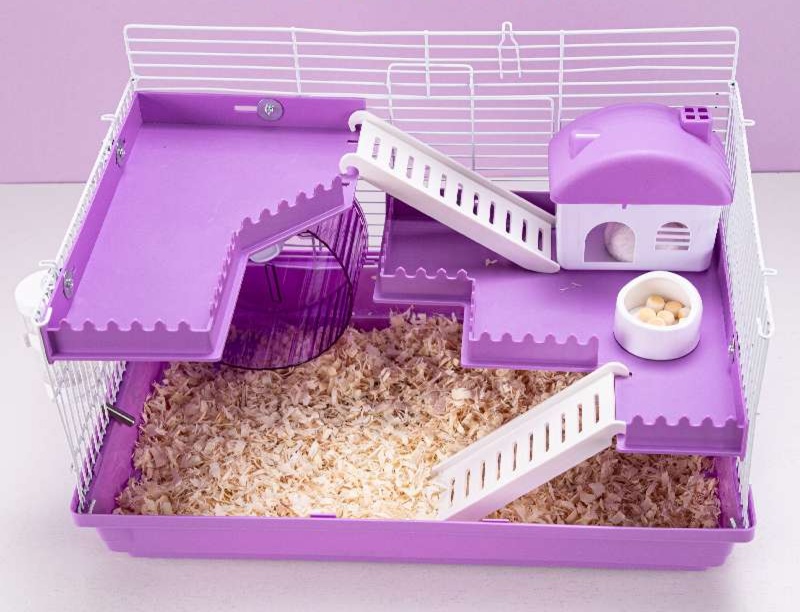 https://fulmo-img-server.com/hamster-cage-kingdom/1731224472699_o0e6wjqh_cropped.jpg