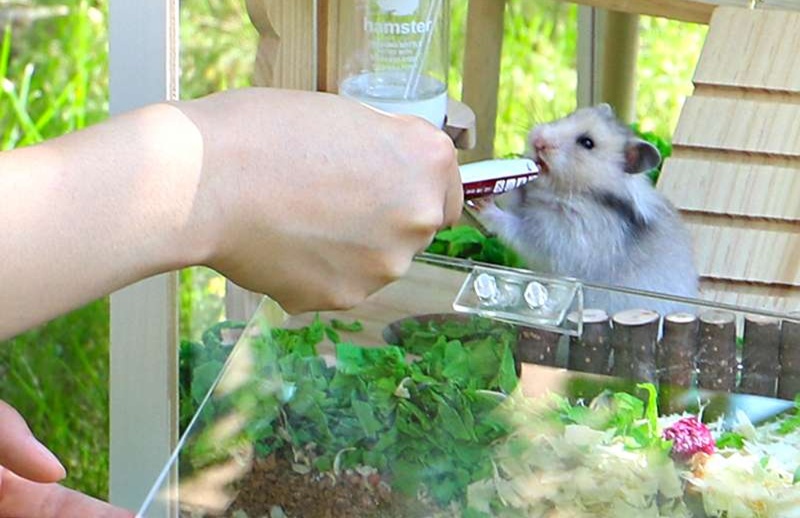 ハムスターケージ 全景ガラス風ハムスター快適ハウス