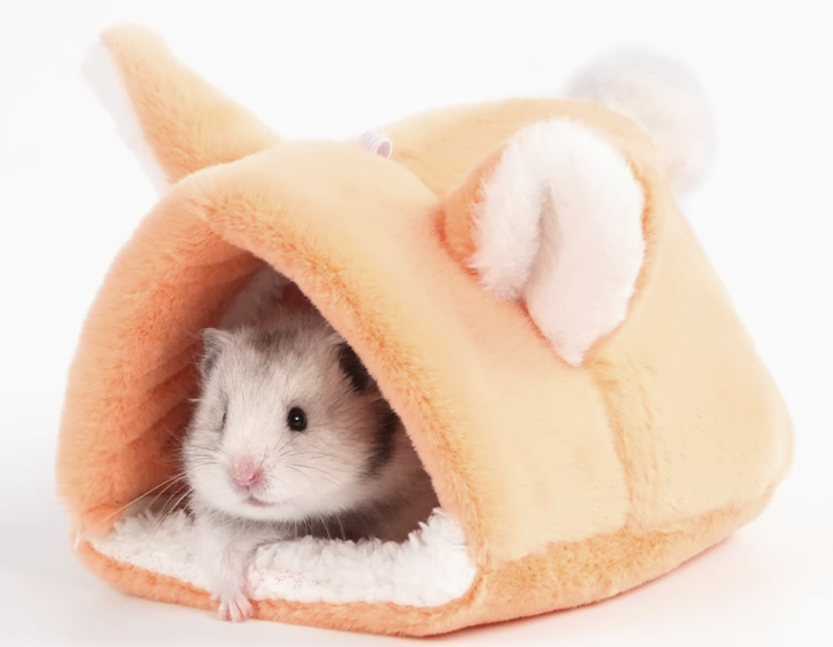 https://fulmo-img-server.com/hamster-cage-kingdom/1735201027697_butot7ti_zwzsrqru.png