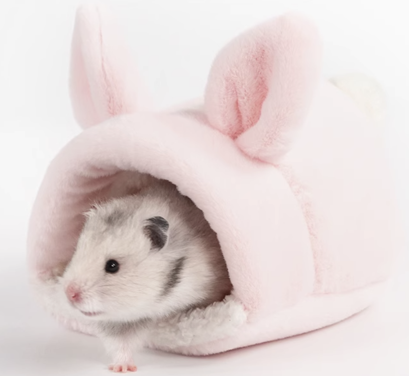 https://fulmo-img-server.com/hamster-cage-kingdom/1735201028143_qx1vkirh_4ythadkn.png