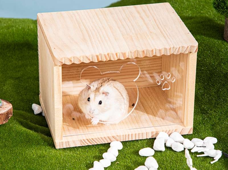 https://fulmo-img-server.com/hamster-cage-kingdom/1735227696674_w9wflku9_mwa5x8ds.jpeg