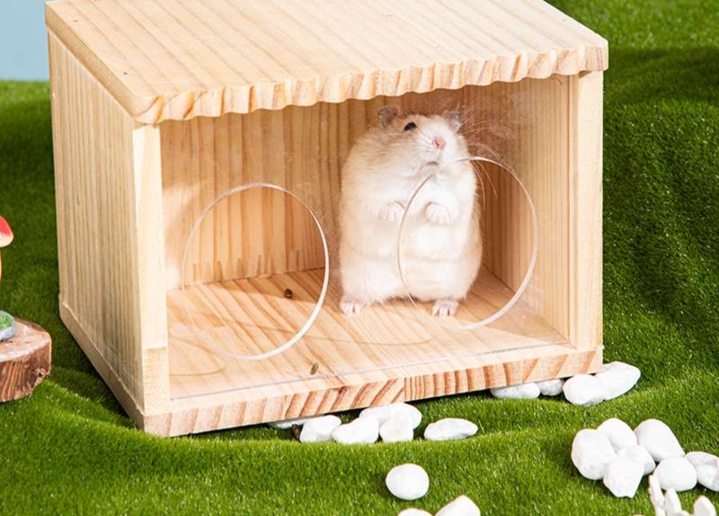 https://fulmo-img-server.com/hamster-cage-kingdom/1735227730054_ayszka35_9buauh9y.jpeg