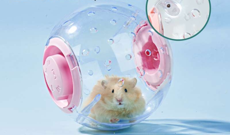 https://fulmo-img-server.com/hamster-cage-kingdom/1735283130177_5lfmbwt6_oywhtih0.jpeg