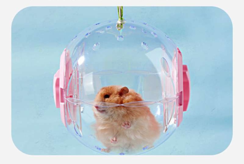 https://fulmo-img-server.com/hamster-cage-kingdom/1735283149717_btr90nxm_p3zapnnf.jpeg