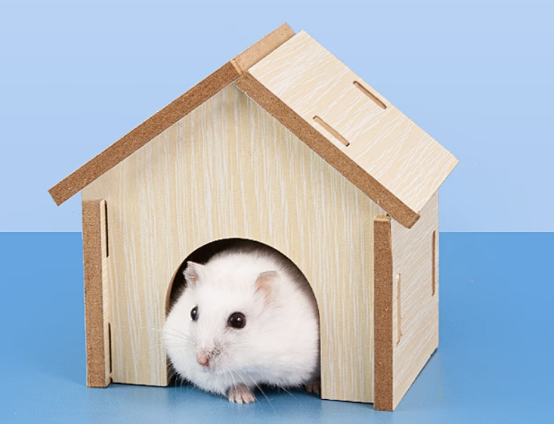 https://fulmo-img-server.com/hamster-cage-kingdom/1735446136087_he5sfeqn_j31fjo89.png