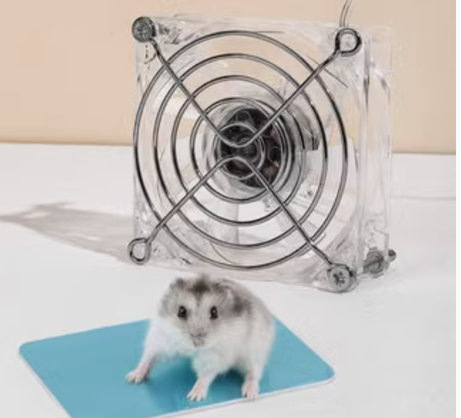 https://fulmo-img-server.com/hamster-cage-kingdom/1735448913550_jn334cel_e8g255x7.png