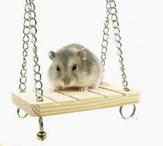 https://fulmo-img-server.com/hamster-cage-kingdom/1735544012510_wbdltovn_ze76x1vl.png