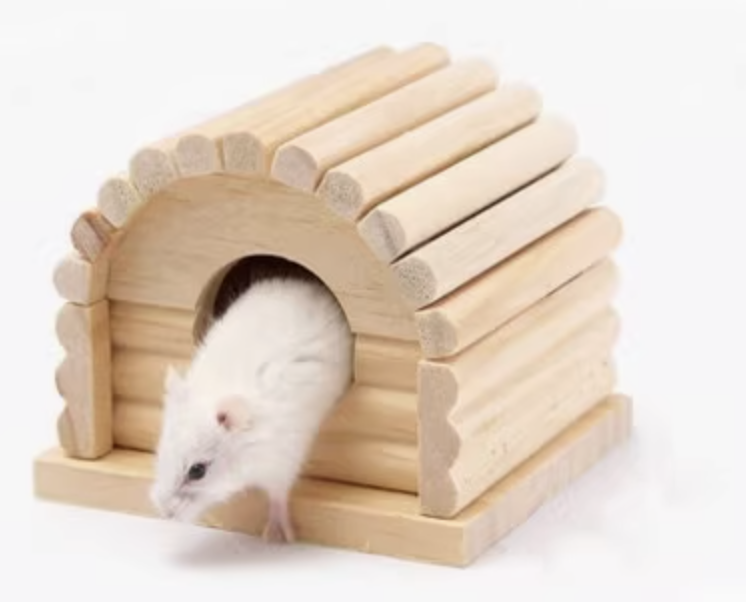 https://fulmo-img-server.com/hamster-cage-kingdom/1735544013430_kwc7yved_or6rpu7y.png