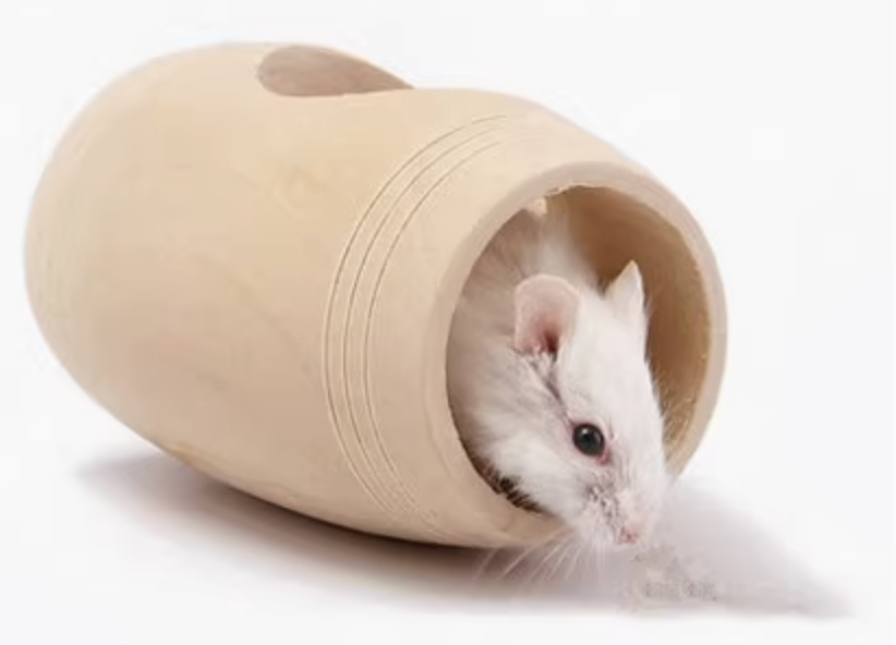 https://fulmo-img-server.com/hamster-cage-kingdom/1735544014413_xl1x6pq9_maqjqxhz.png