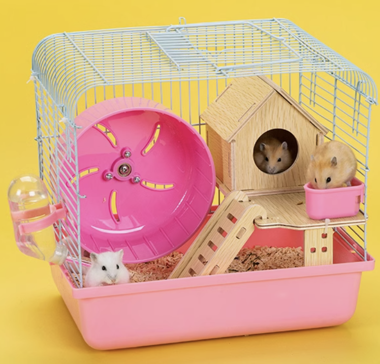 https://fulmo-img-server.com/hamster-cage-kingdom/1735609169483_s8jyfscg_c3k6y7qg.png