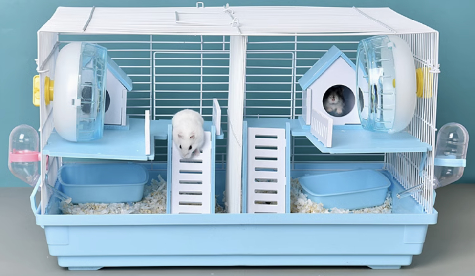 https://fulmo-img-server.com/hamster-cage-kingdom/1735631565729_rcr6c3ab_cfygmtxm.png