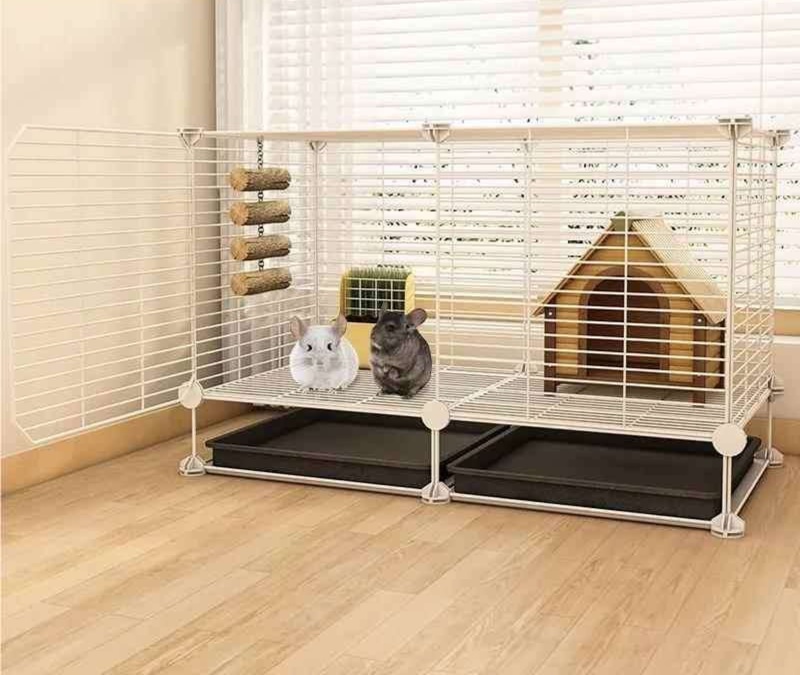 https://fulmo-img-server.com/hamster-cage-kingdom/1735632622442_n93y2xpb_q7obe5yj.jpeg