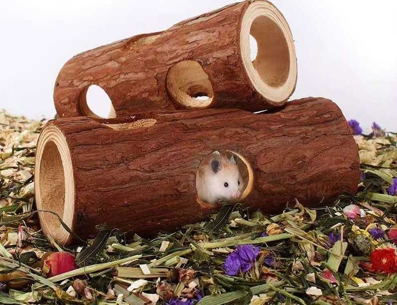 大きいハウスで快適飼育！おすすめアイテム5選