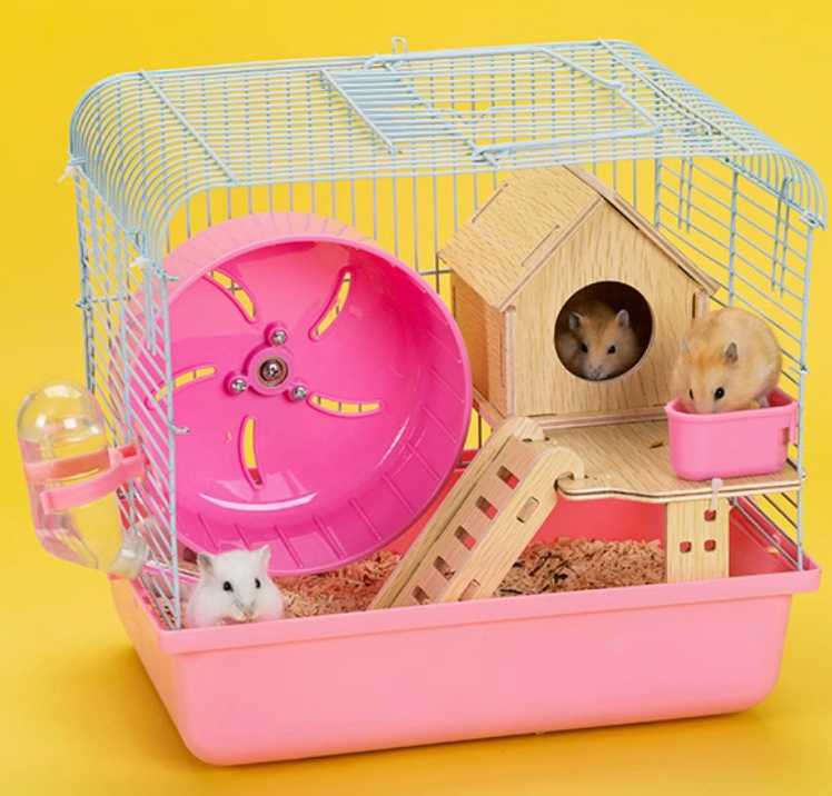 ハムスターが喜んで同じケージで暮らせるベストな5選