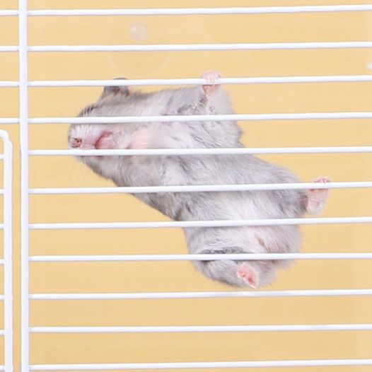 ハムスターケージ 前開き透明扉付き大型ハムスターケージ専用網