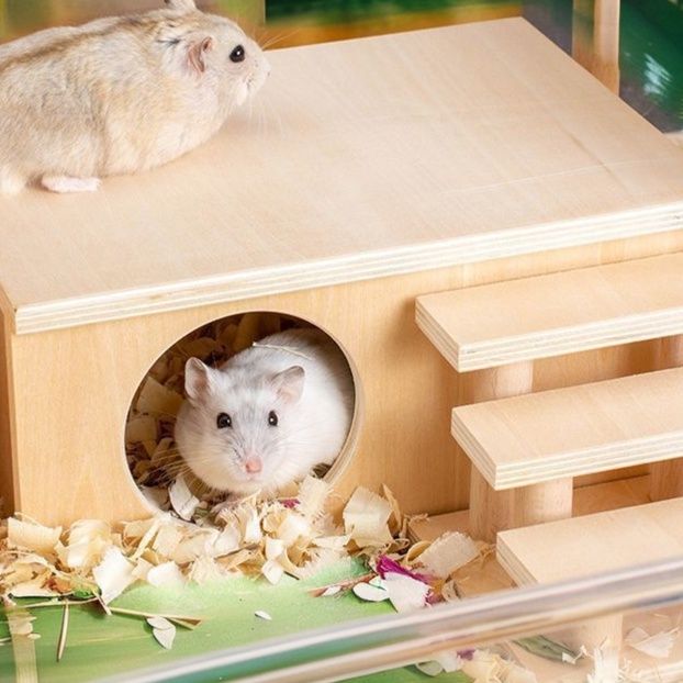 ハムスターケージ 二層式階段付き木製ハウス