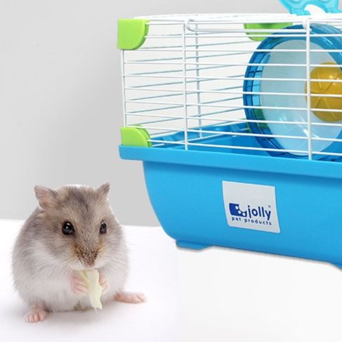ハムスターケージ 持ち運び便利な小動物用手提げ飼育ケージ