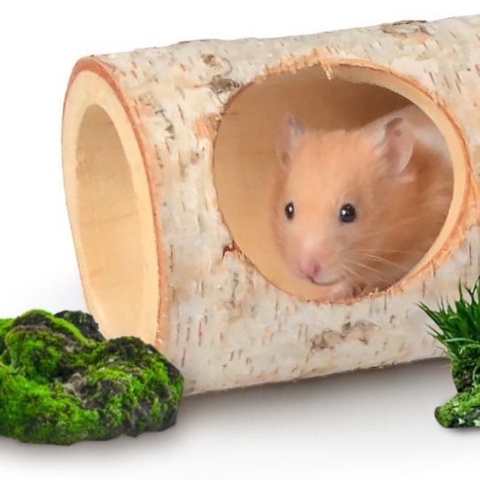 ハムスターケージ 天然樺木皮トンネル型ハウス