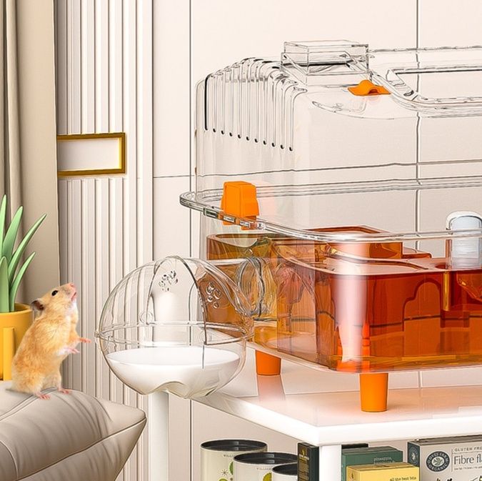 https://fulmo-img-server.com/hamster-cage-kingdom/1779253118743_dnorffrb_v9mv0oum.jpeg
