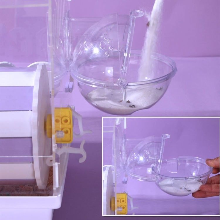 https://fulmo-img-server.com/hamster-cage-kingdom/1779255045039_qzqysmec_t2dghgew.jpeg