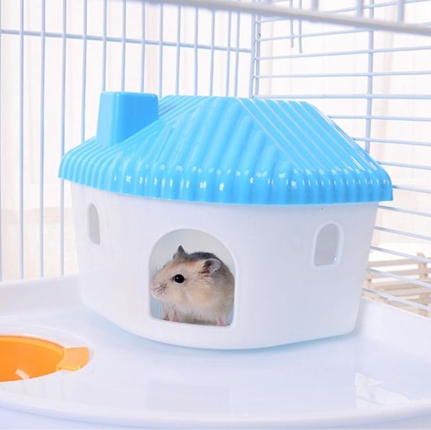 https://fulmo-img-server.com/hamster-cage-kingdom/1779256369275_8wxkl7f9_vit3qzz7.jpeg