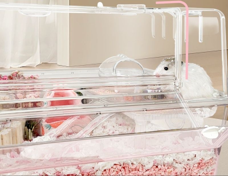 https://fulmo-img-server.com/hamster-cage-kingdom/1784944642619_2pyg6ol4_yr5bcylk.jpeg