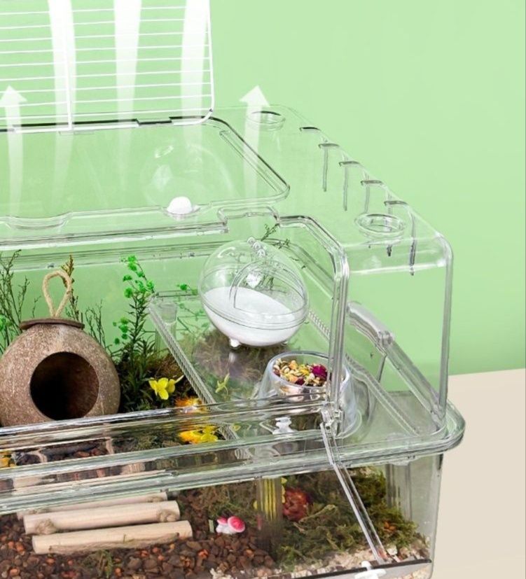 https://fulmo-img-server.com/hamster-cage-kingdom/1784944737266_g0a7gibf_jq5aguhf.jpeg