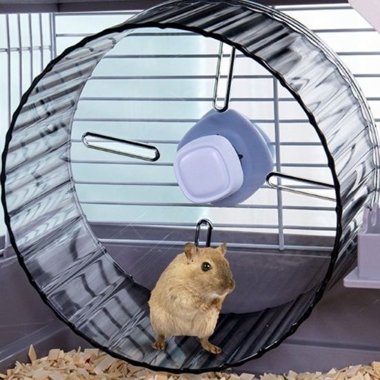 https://fulmo-img-server.com/hamster-cage-kingdom/1784946643364_qsdg9b5o_bbsu1b61.jpeg