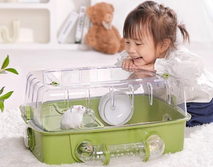https://fulmo-img-server.com/hamster-cage-kingdom/1784946920184_onuffiv6_u4qr8dpl.jpeg